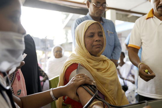 Screening at Tea Gardens