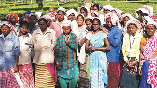 Quiver full of arrows Quiver full of arrows